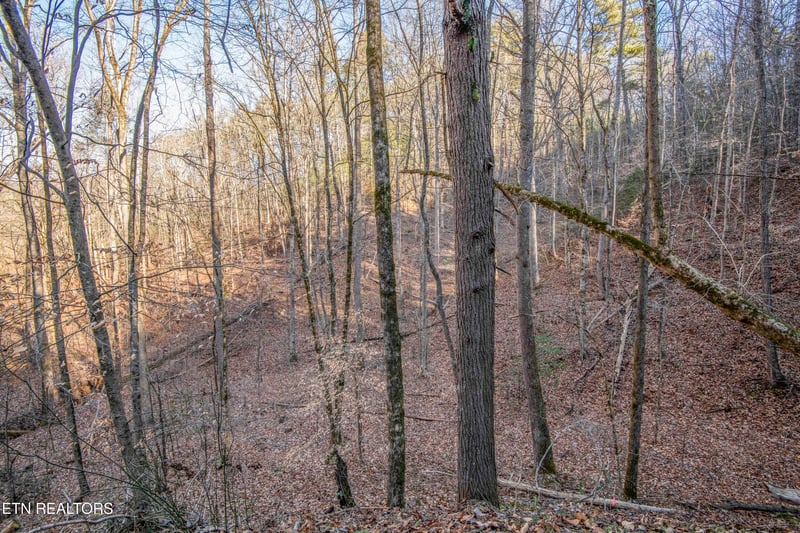 2474 Dove View Rd #6, Sevierville, TN 37862