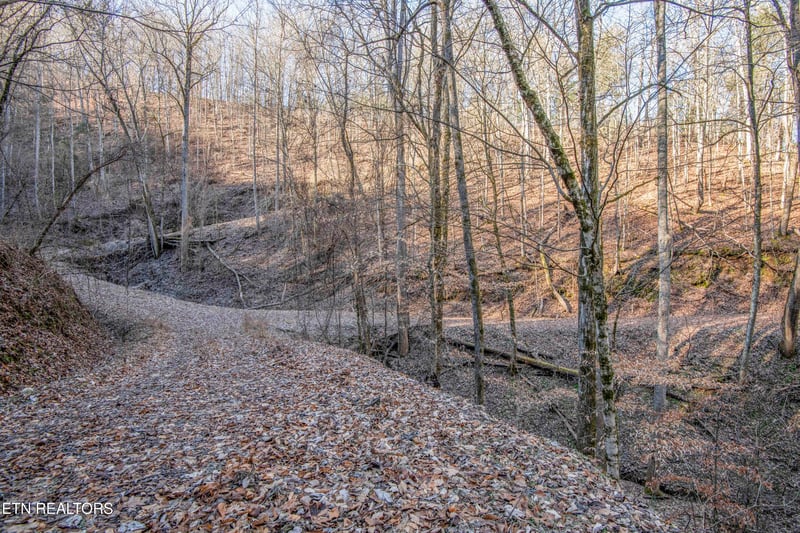2474 Dove View Rd #6, Sevierville, TN 37862