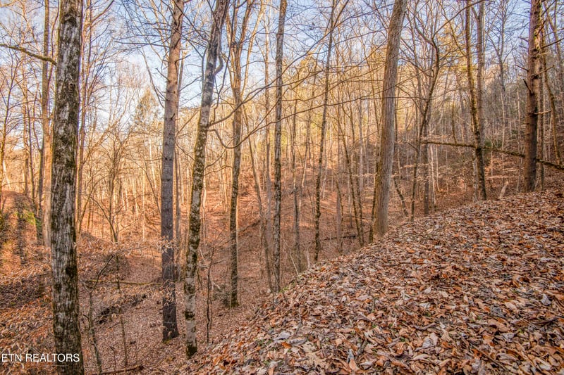 2474 Dove View Rd #6, Sevierville, TN 37862