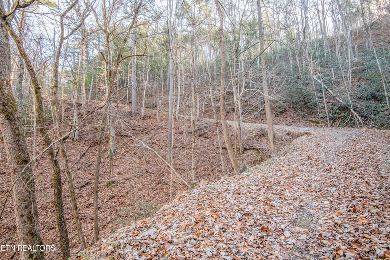 2474 Dove View Rd #6, Sevierville, TN 37862