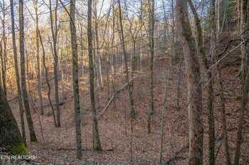 2474 Dove View Rd #6, Sevierville, TN 37862