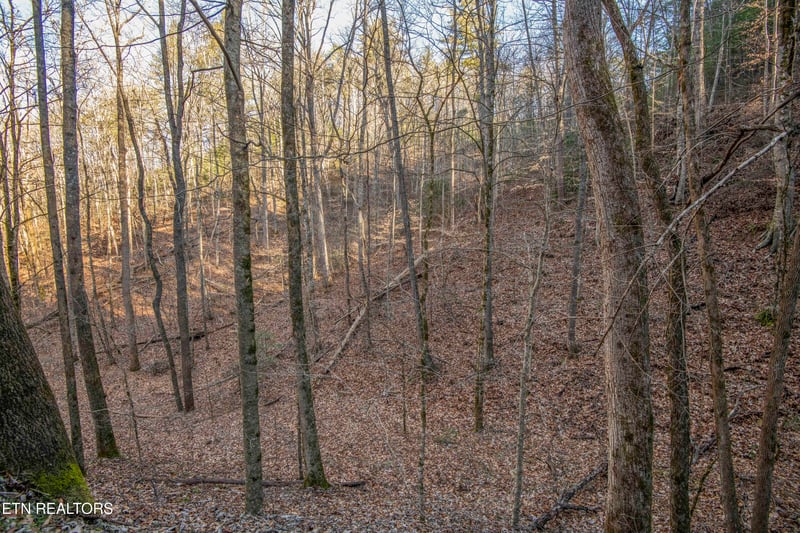 2474 Dove View Rd #6, Sevierville, TN 37862