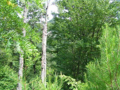 2481 Happy Hollow Rd, Sevierville, TN 37862