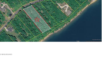 249 E Shore Dr, Rockwood, TN 37854