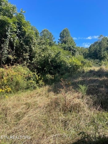 249 N Dark Hollow Rd, Andersonville, TN 37705