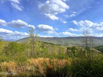 250 County Road 476, Englewood, TN 37329