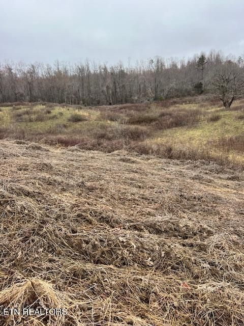 250 Low Gap Rd, Lafollette, TN 37766