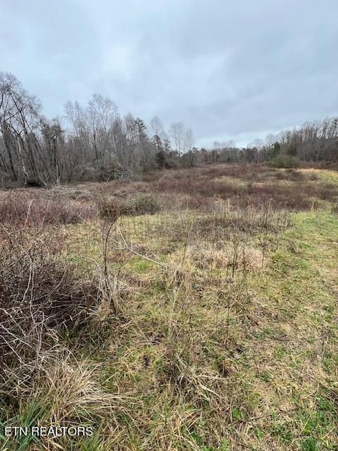 250 Low Gap Rd, Lafollette, TN 37766