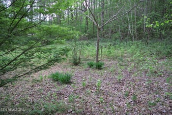 250 Mountain Side Ln, Rocky Top, TN 37769