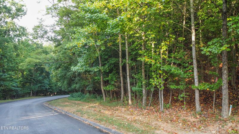 250 Vineyard Cove Dr, Loudon, TN 37774