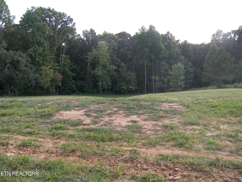 250 Wells Rd, Powell, TN 37849