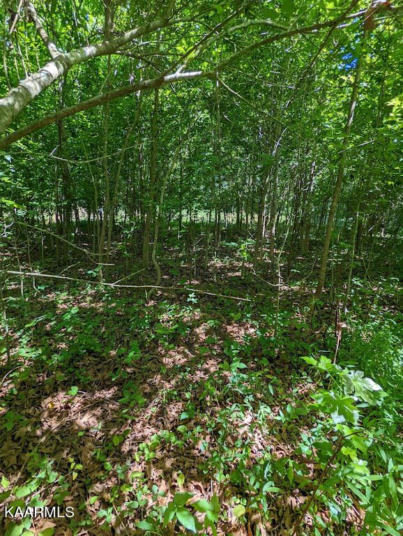 250 Willow Dr, Kingston, TN 37763