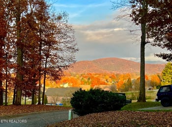 2501 Friar Wood Ln, Sevierville, TN 37876