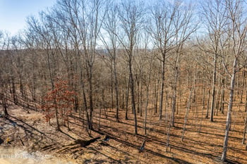 2501 Old Dogwood Tr, Loudon, TN 37774