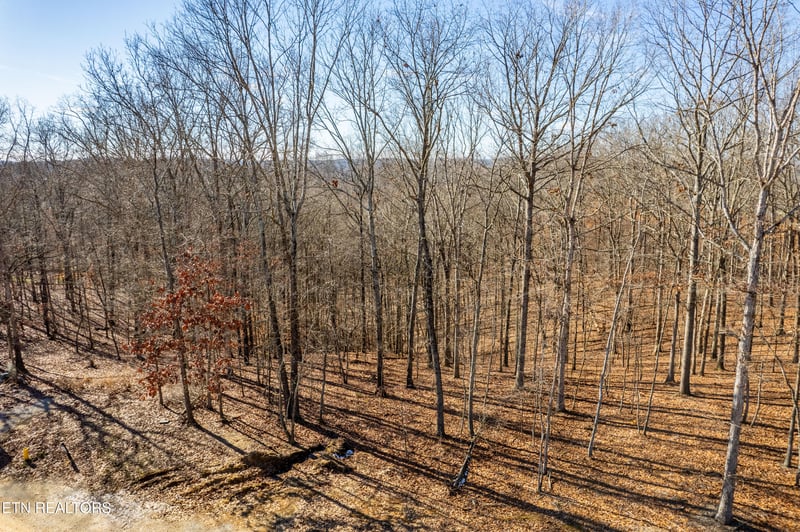 2501 Old Dogwood Tr, Loudon, TN 37774