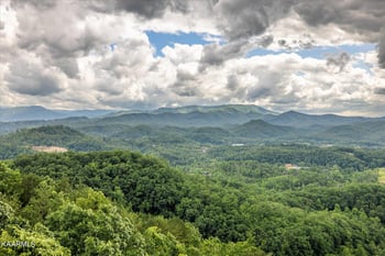 2503 Runt Rd, Pigeon Forge, TN 37876