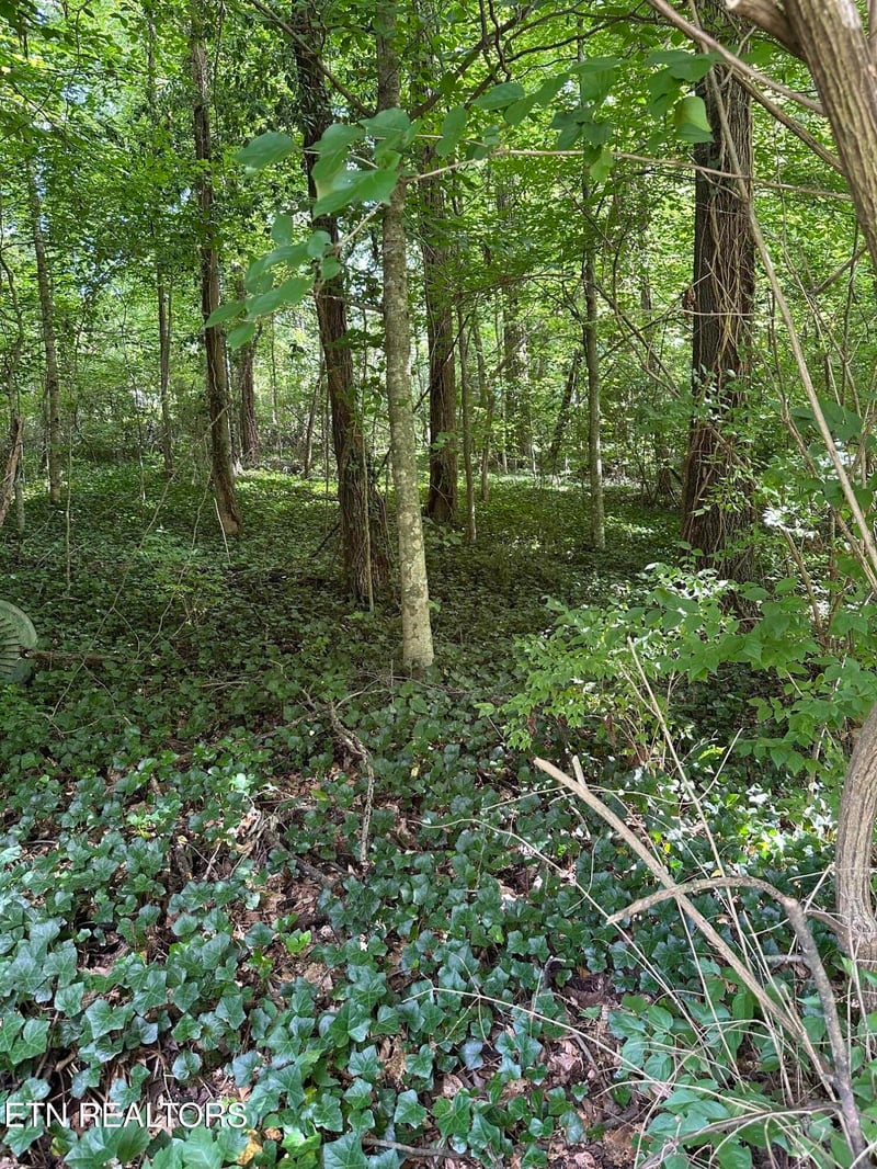 2506 Shaler Ln, Knoxville, TN 37920