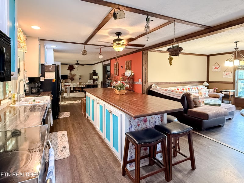 251 Willow Springs Rd, Ten Mile, TN 37880
