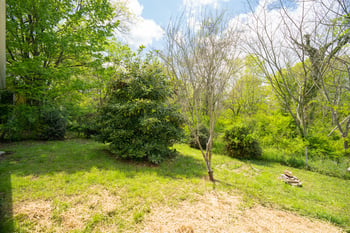 2519 Maple Dr, Knoxville, TN 37918