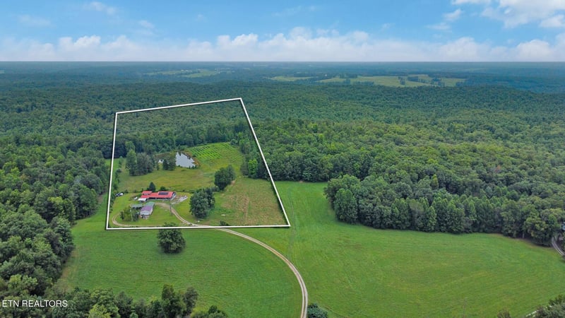 252 Carlie Ln, Deer Lodge, TN 37726