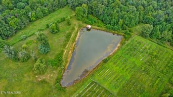 252 Carlie Ln, Deer Lodge, TN 37726