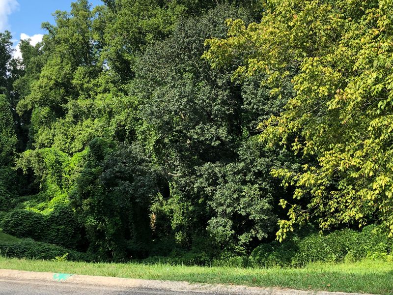 252 Highland Ave, Oak Ridge, TN 37830