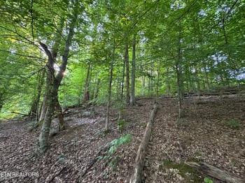 2525 Woodland Reserve Ln, Knoxville, TN 37919