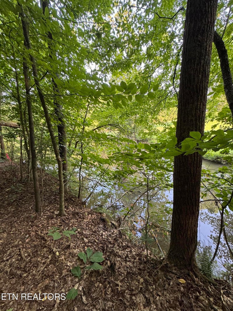 2525 Woodland Reserve Ln, Knoxville, TN 37919