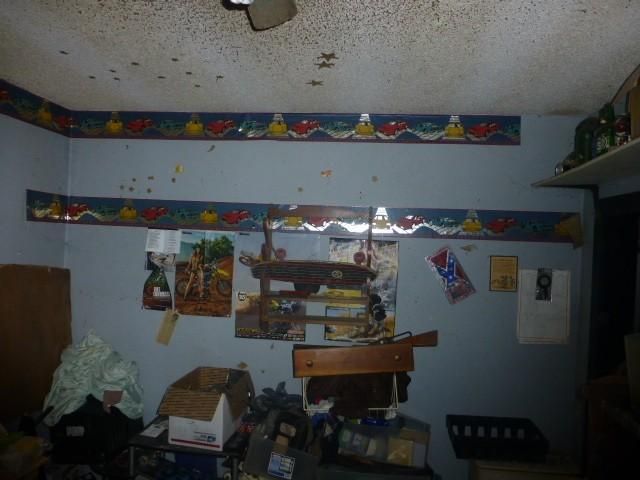 253 Macedonia Rd, Lancing, TN 37770