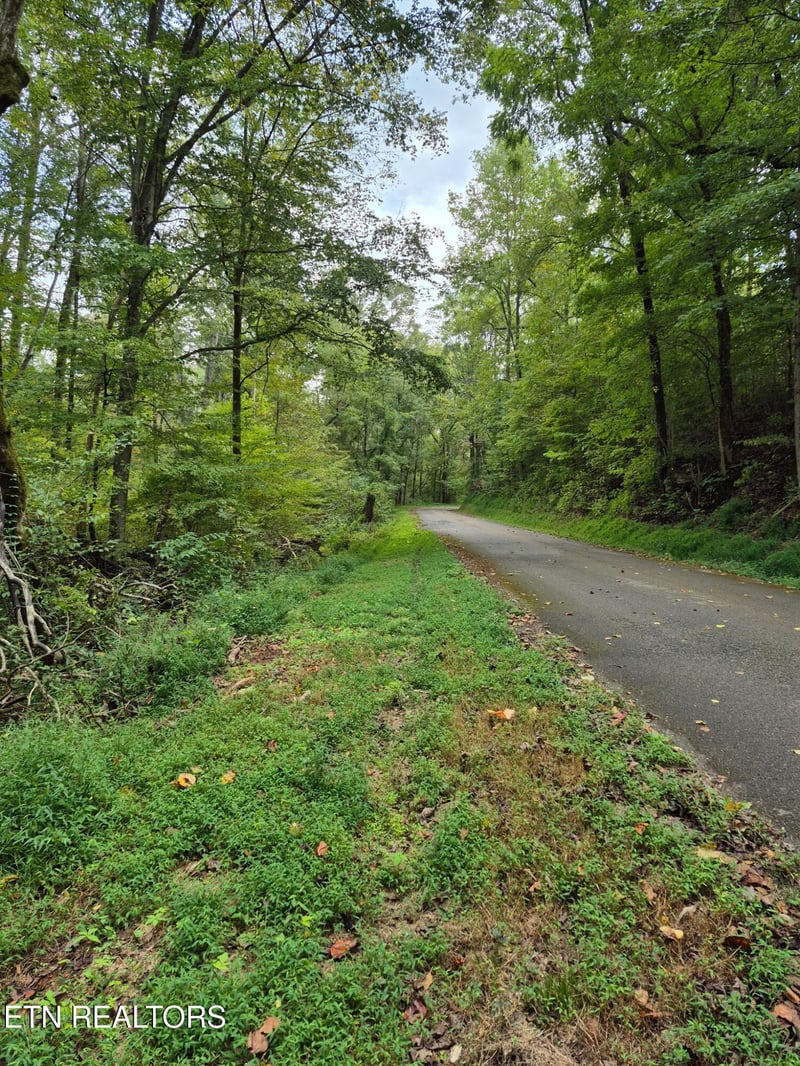 253 Old Christianburg Rd, Madisonville, TN 37354
