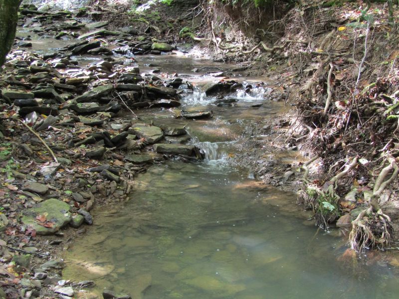 253.33 ac Millcreek Rd, Sunbright, TN 37872