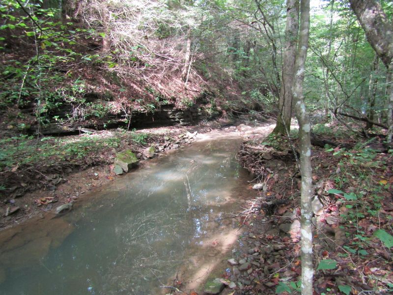 253.33 ac Millcreek Rd, Sunbright, TN 37872