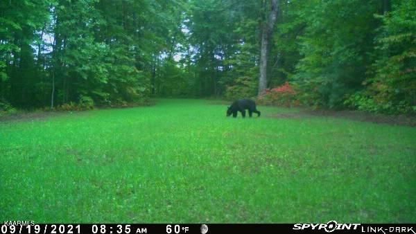253.33 ac Millcreek Rd, Sunbright, TN 37872