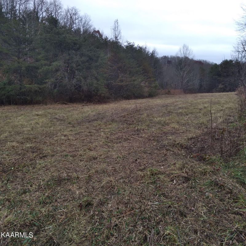 253.33 ac Millcreek Rd, Sunbright, TN 37872