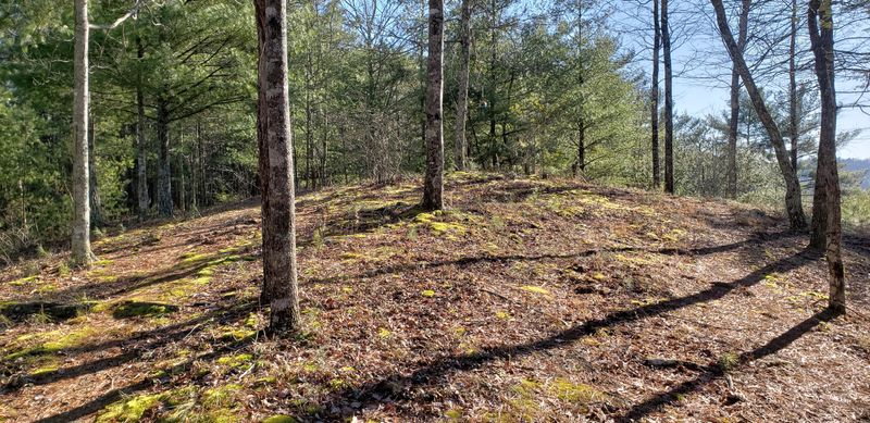 2531 Elks Point Dr, Walland, TN 37886