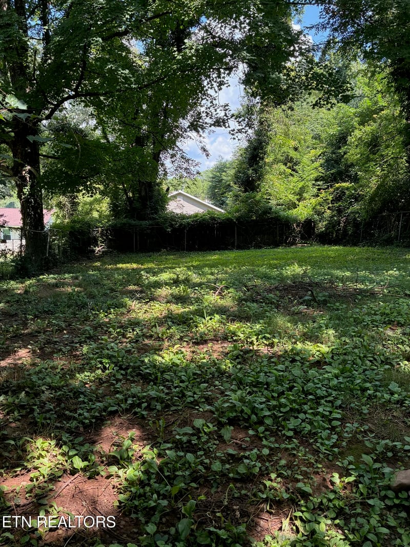 2533 Seaton Ave, Knoxville, TN 37920