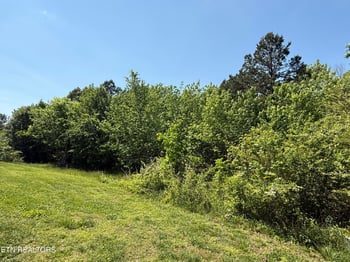 2535 Steekee School Rd, Loudon, TN 37774