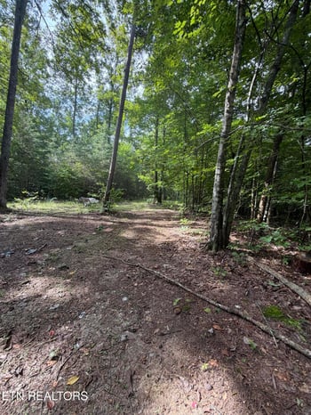2544 Hinds Creek Rd, Heiskell, TN 37754