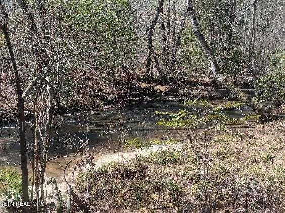 255 - 329 Copperhead Rd, Oakdale, TN 37829