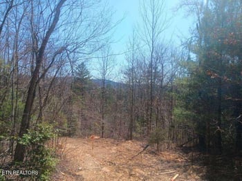 255 - 329 Copperhead Rd, Oakdale, TN 37829
