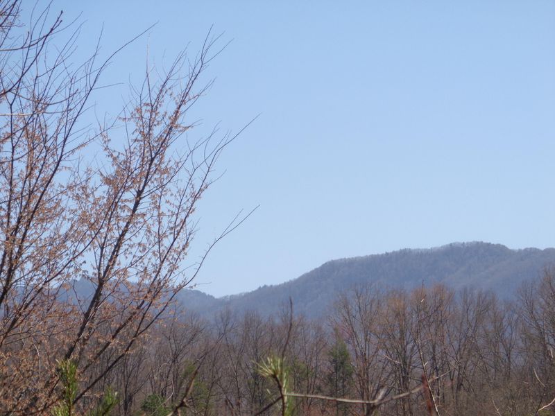 2552 Treehouse Ln, Sevierville, TN 37876