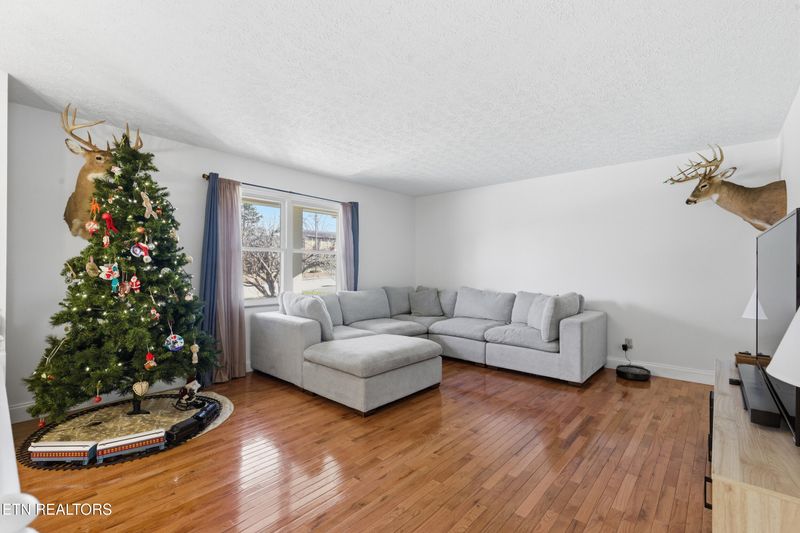 2555 Robinson Dr, Louisville, TN 37777