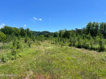 256 Atkins Rd, Madisonville, TN 37354