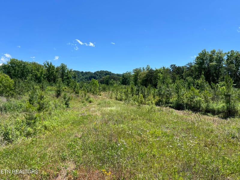 256 Atkins Rd, Madisonville, TN 37354