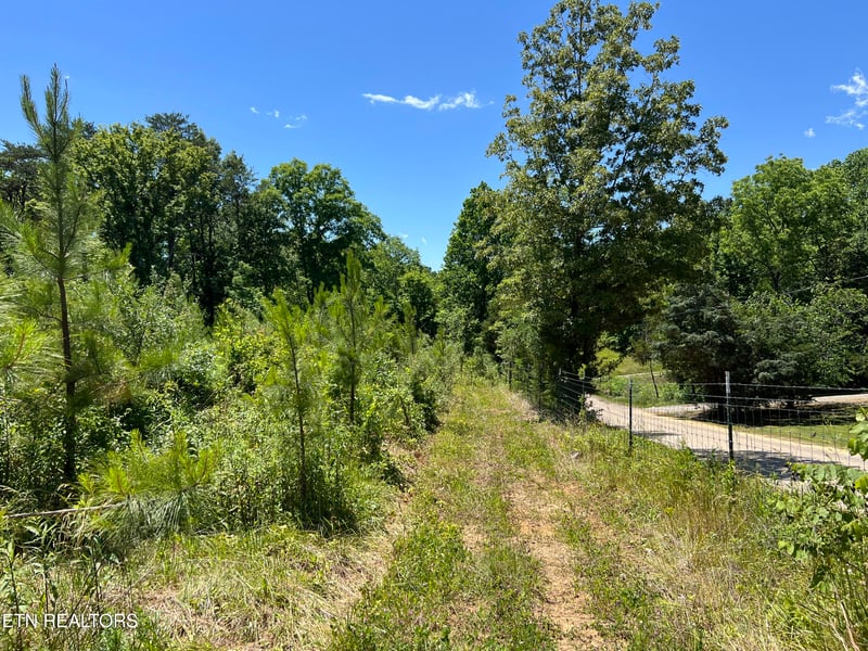 256 Atkins Rd, Madisonville, TN 37354