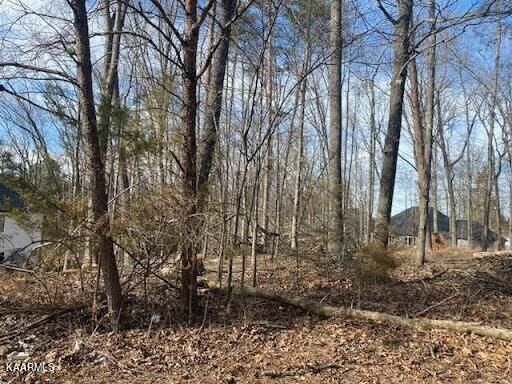 256 Gadusi Way, Loudon, TN 37774