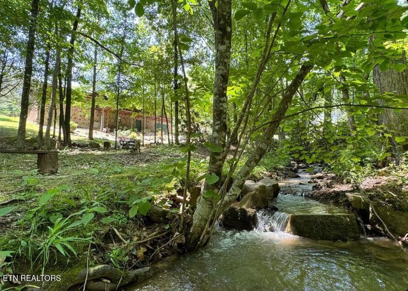 2561 Black Bear Ln, Sevierville, TN 37876