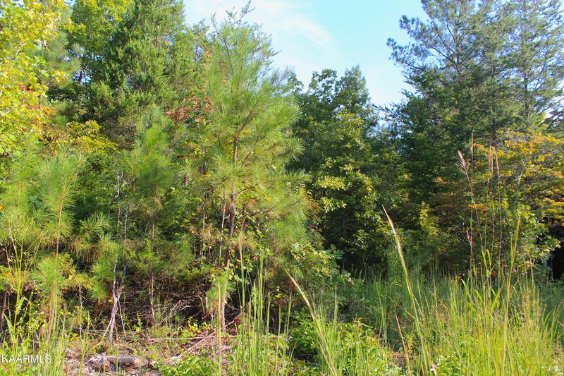 257 Bill Moser Rd Tract 11, Vonore, TN 37885