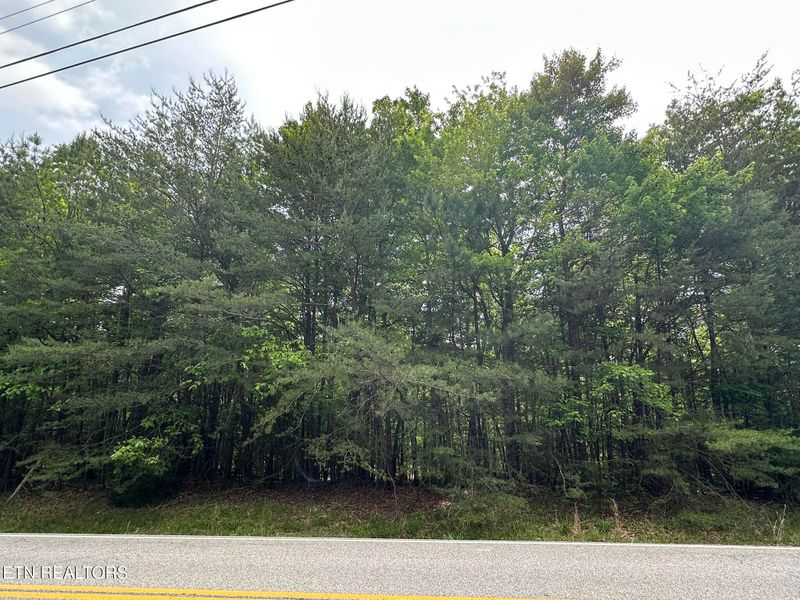 257 Forest Hill Dr, Fairfield Glade, TN 38558