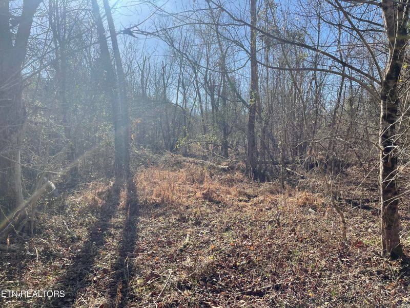 257 Hardin Rd, Kodak, TN 37764